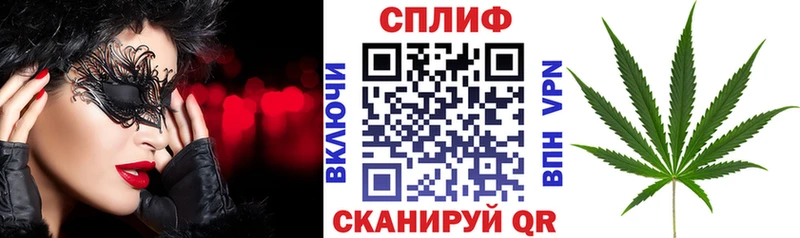как найти наркотики  Ахтырский  мориарти телеграм  Бошки марихуана Ganja 